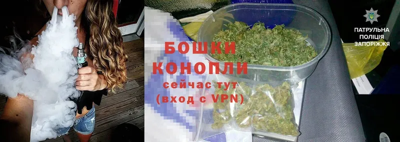 Конопля план  сколько стоит  Духовщина 